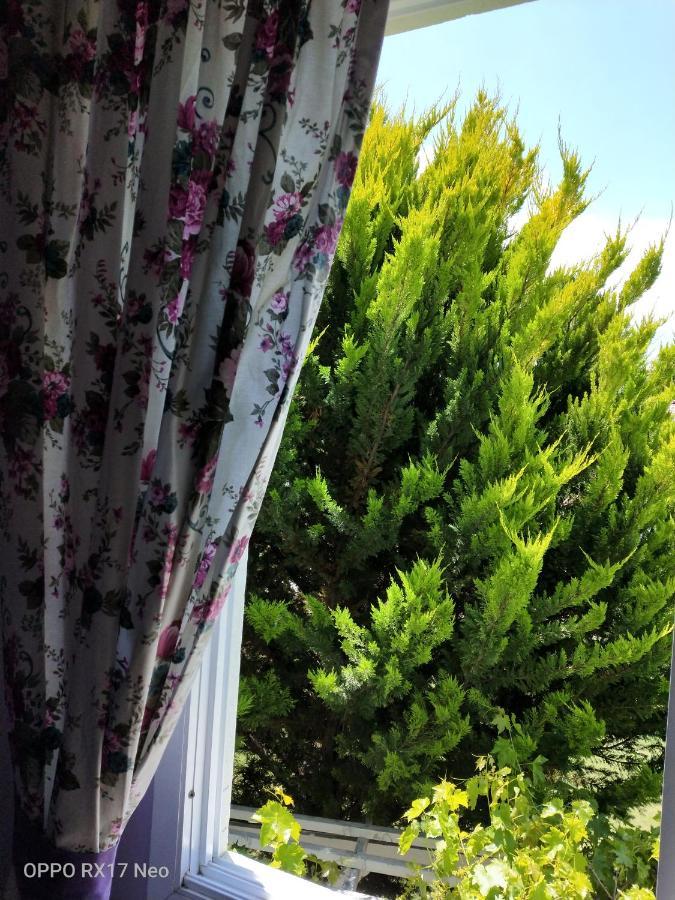 Maviev Otel Çeşme Exteriör bild